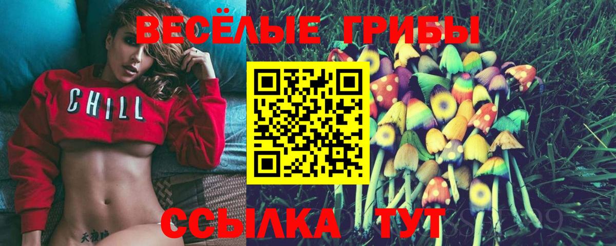Галлюциногенные грибы Cubensis Алушта