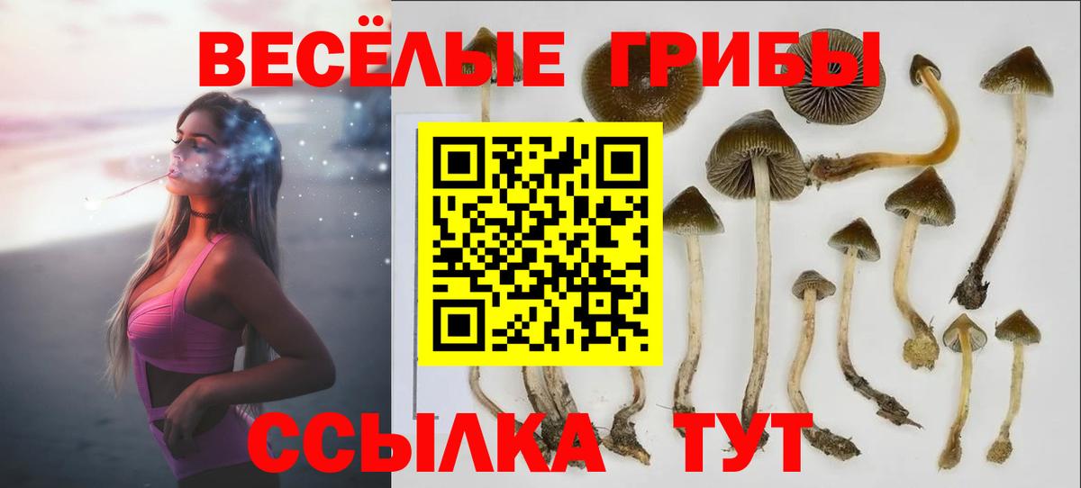 Алушта  Псилоцибиновые грибы Psilocybe  Вход с VPN 